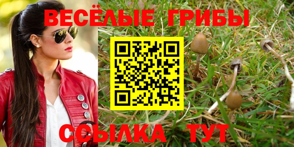 Галлюциногенные грибы GOLDEN TEACHER  Вход с VPN  Чусовой 